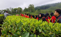 Puluhan Siswa Berwisata di Taman Rekreasi Kebun Teh Kertowono