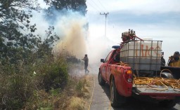 Api Kembali Hanguskan 115 Hektar Hutan di Lereng Semeru