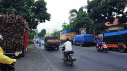 Operasi Dokumen Uji KIR, Banyak Truck Pasir, Tebu dan Kayu Menepi