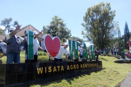 Dukung Wisata, PTPN XII Kebun Teh Kertowono Lounching WAK