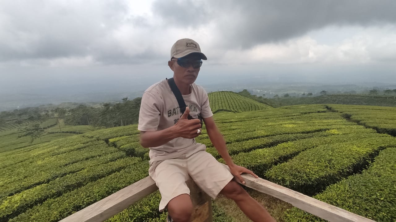 Cak Sadi Bepose di P74 Kebun Teh Gucialit