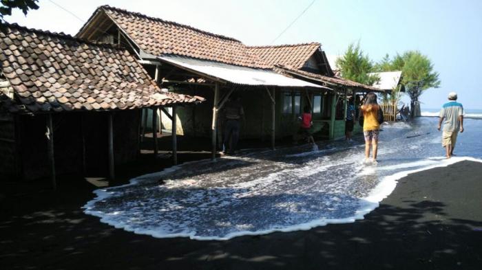 Astagfirullah..!! Kerusakan Alam Membuat Pantai Watu Pecak Abrasi dan Rusak Persawahan