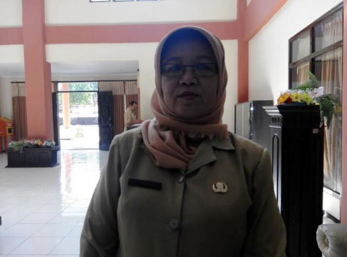 2016 4 Nyawa Melayang Akibat Demam Berdarah, Dinkes Ajak Warga Galakkan PSN