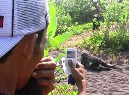 Perempuan Hamil Tua, Dimutilasi Dipinggir Pantai Bambang Lumajang
