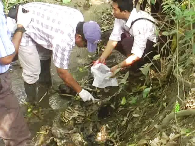 Polisi Temukan Titik Terang Identitas Tengkorak di Desa Denok, Lumajang