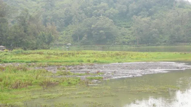 Terancam Musnah, Cak Yo ajak Kampanye #SAVE RANU PANE