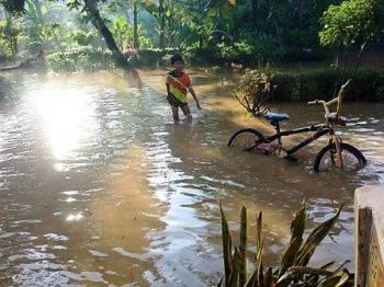 Banjir Tempursari, Tanggul Penahan Jebol Petani Terancam Gagal Panen