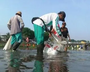 Geram Dengan Ceceran Sampah, Komunitas Greenriver Bersihkan Kali Asem