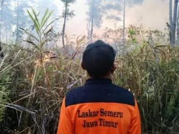 Pulang Dari Medan Kebakaran Hutan, Relewan Laskar Semeru Diserang Batuk