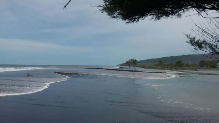 Muara Tersumbat, Puluhan Hektar Sawah di Tempursari Terendam