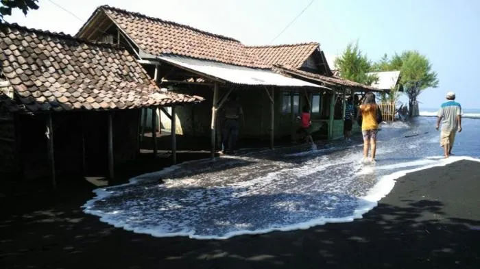 Astagfirullah..!! Kerusakan Alam Membuat Pantai Watu Pecak Abrasi dan Rusak Persawahan
