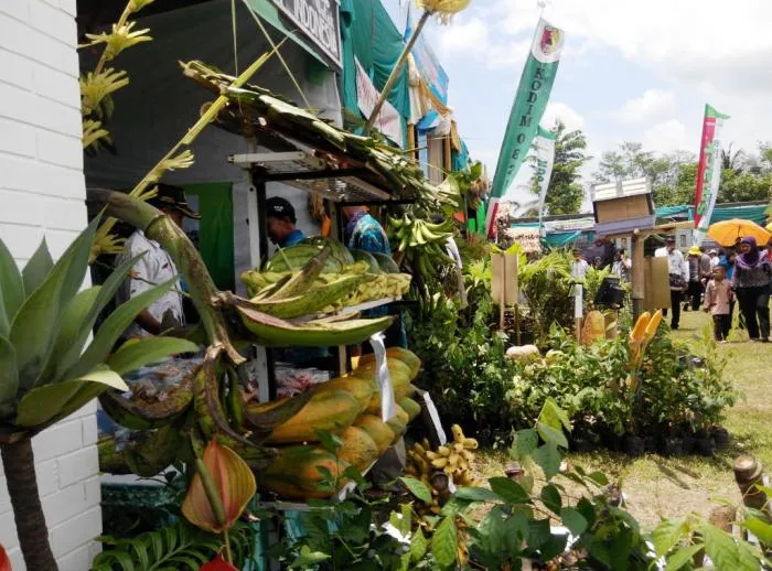 Gebyar Pangan Yosowilangun, Bupati Asat : Banyak Anak Muda Enggan Jadi Petani