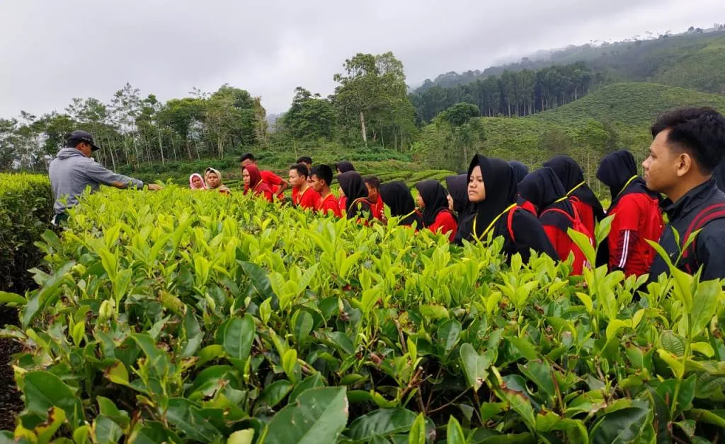 Puluhan Siswa Berwisata di Taman Rekreasi Kebun Teh Kertowono