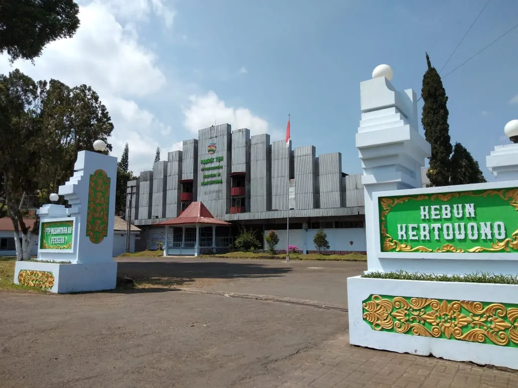Gagahnya, Rumah Afdeling dan Pabrik Teh Kolonial Sejak 1910 di Gucialit - Lumajang.