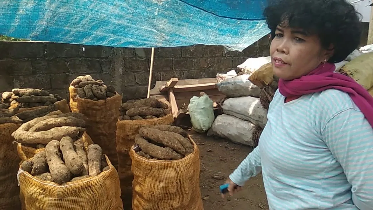 Sang Ratu Talas Lumajang Pernah Diejek Kenapa Jualan Makanan Celeng
