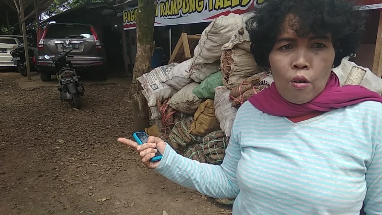 Harapan Sang Ratu Talas di Lumajang ada Kampung dan Peran Pemerintah
