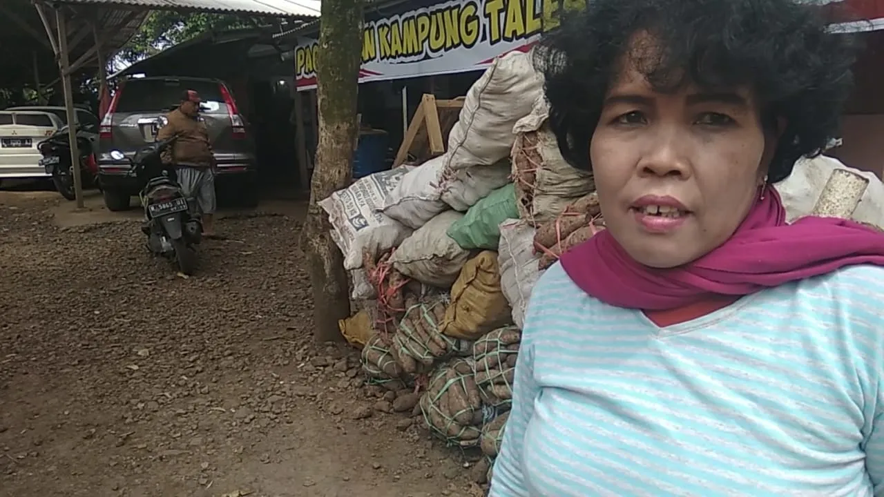 Sang Ratu Talas Lumajang Jadi Pemasok Pabrik Makanan Raffi Ahmad