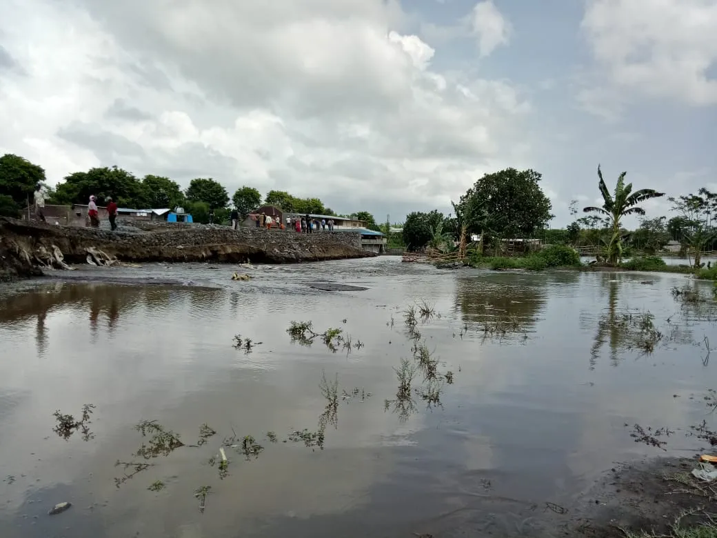Ratusan Hektar Lahan Pertanian Terendam Luapan Sungai Kaliasem