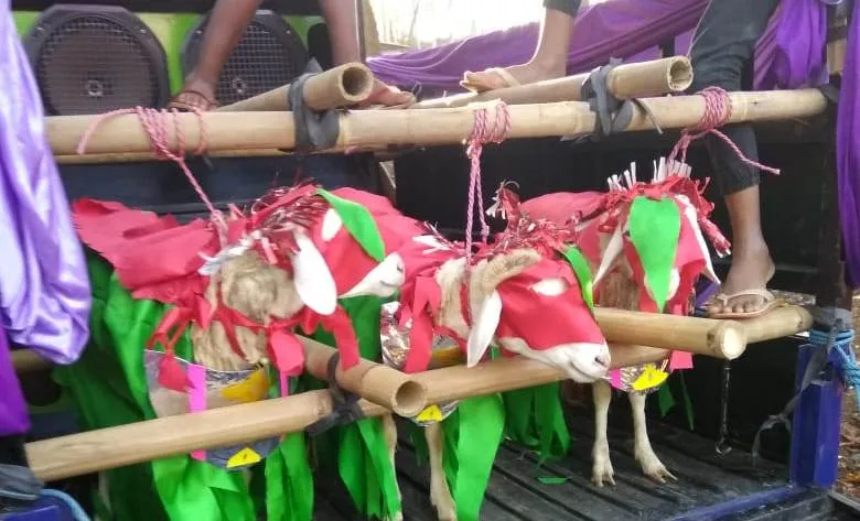 Asal Mula Tradisi Ngarak JOLEN Desa Tanggung Lumajang