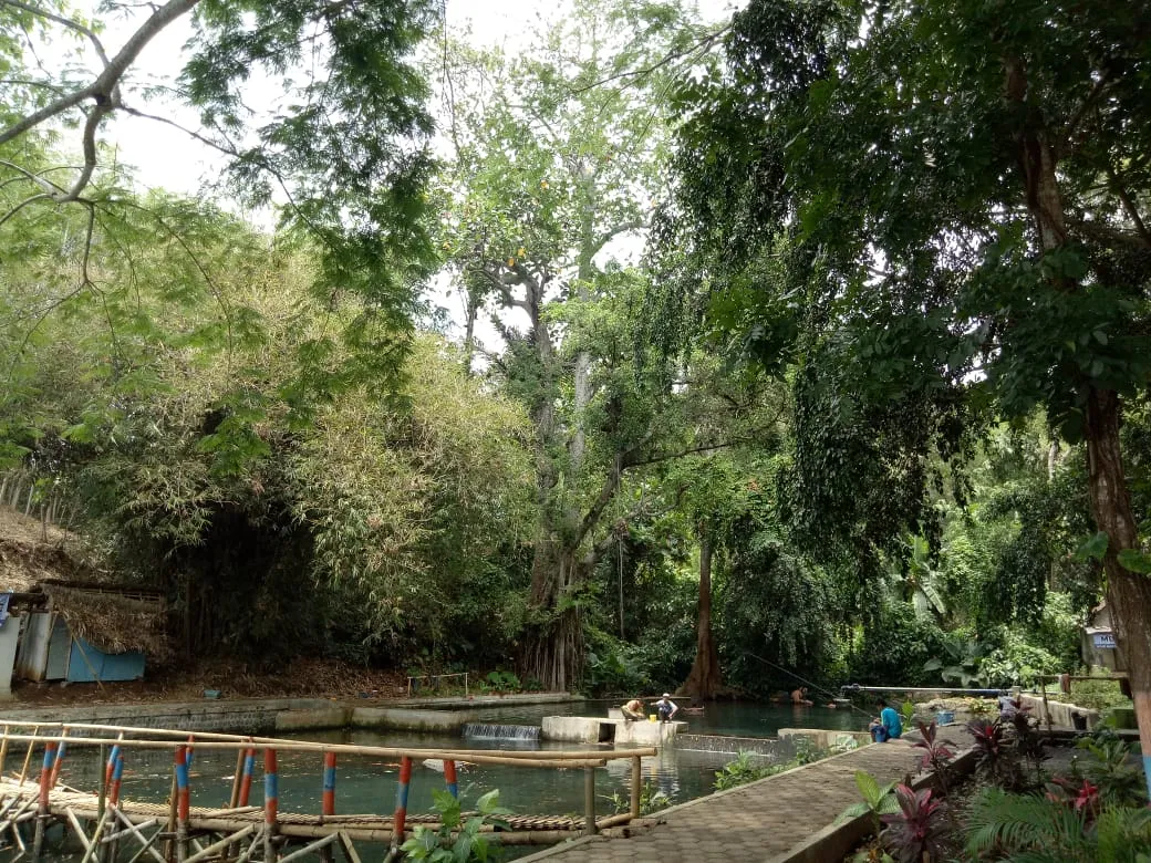 Asal Mula Nama Sumber Pakel Lumajang