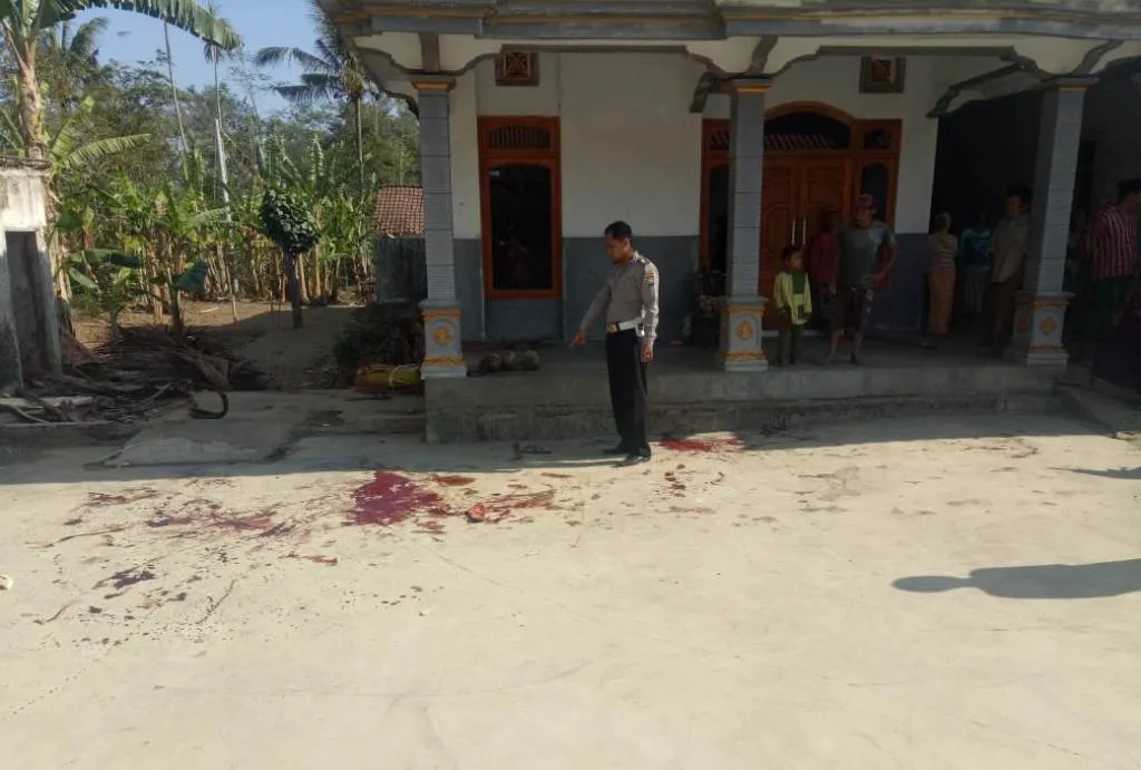 Aksi Carok Sadis Ranuyoso-Lumajang Bermotif Asmara