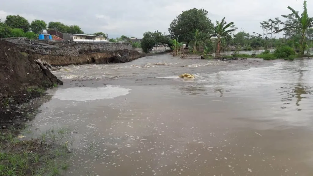 Tak Sampai Setahun Dam Gambiran Lumajang Kembali Jebol Diterjang Banjir