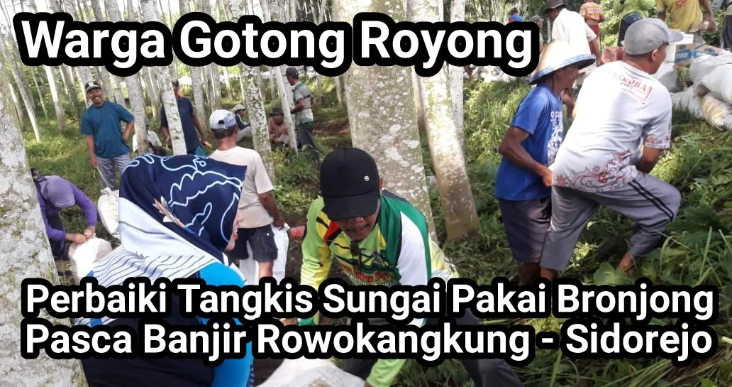 Video : Warga Gotong Royong Perbaiki Tanggul Sungai Rowokangkung