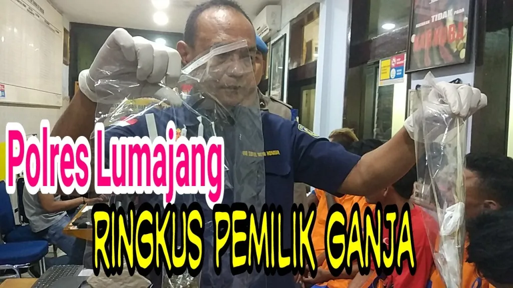 Video : Miliki Ganja 4 Pemuda Tempursari Diringkus Polisi