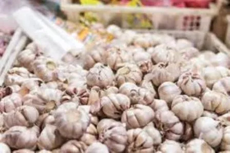 Harga Bawang Putih di Lumajang Bikin Nangis