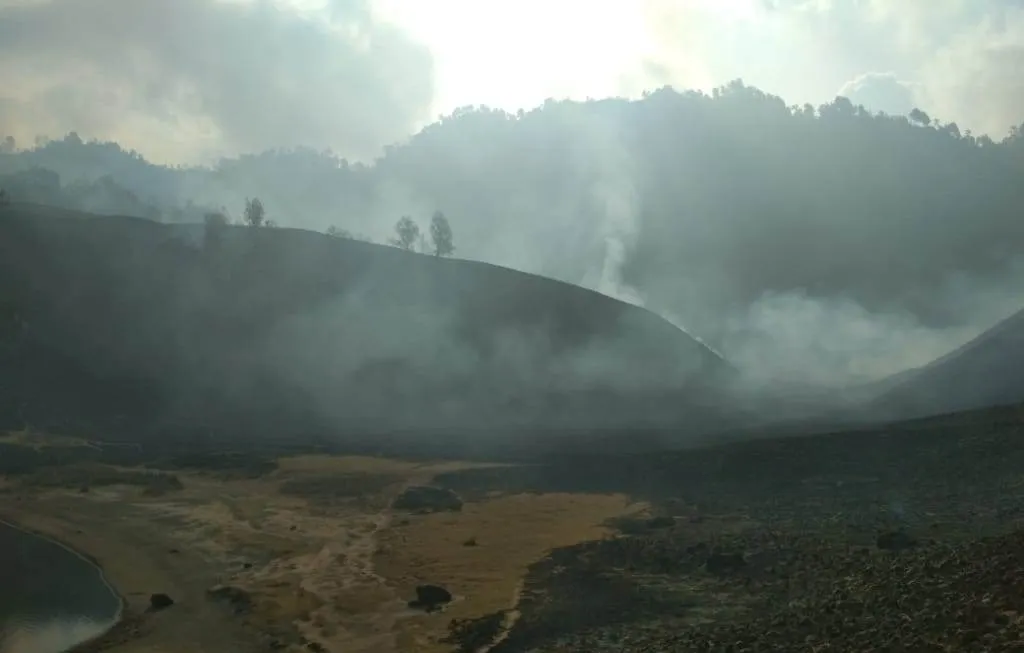 Petugas Berjibaku Padamkan Api di Lereng Gunung Semeru
