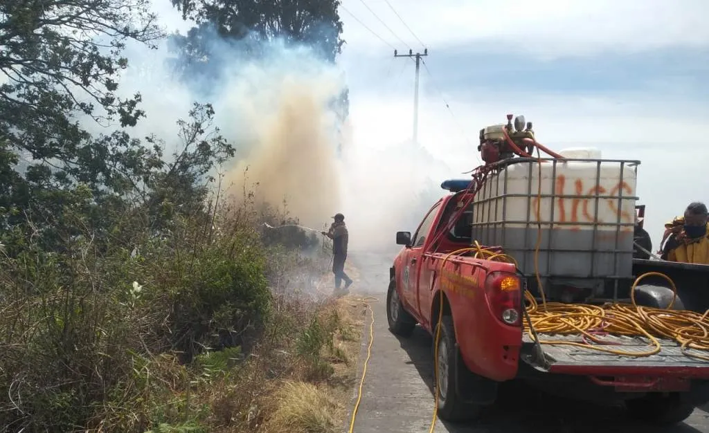 Api Kembali Hanguskan 115 Hektar Hutan di Lereng Semeru