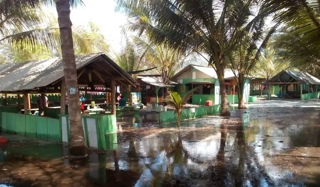 Pertanian dan Warung Ikan Bakar TPI Tempursari Rusak Diterjang Abrasi