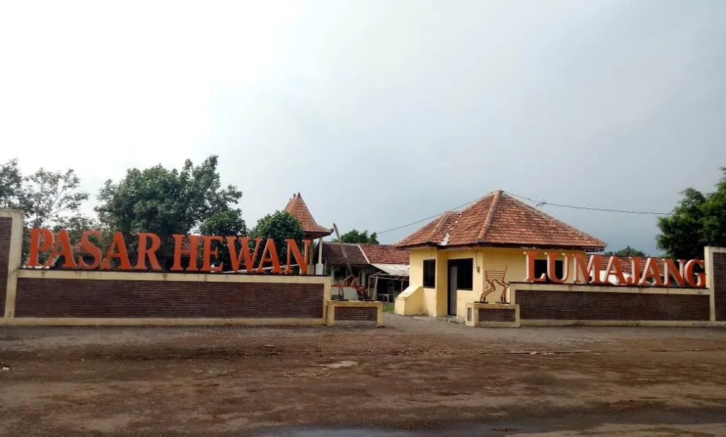 Ini 9 Item Dugaan Korupsi Pekerjaan Proyek Pasar Hewan Lumajang