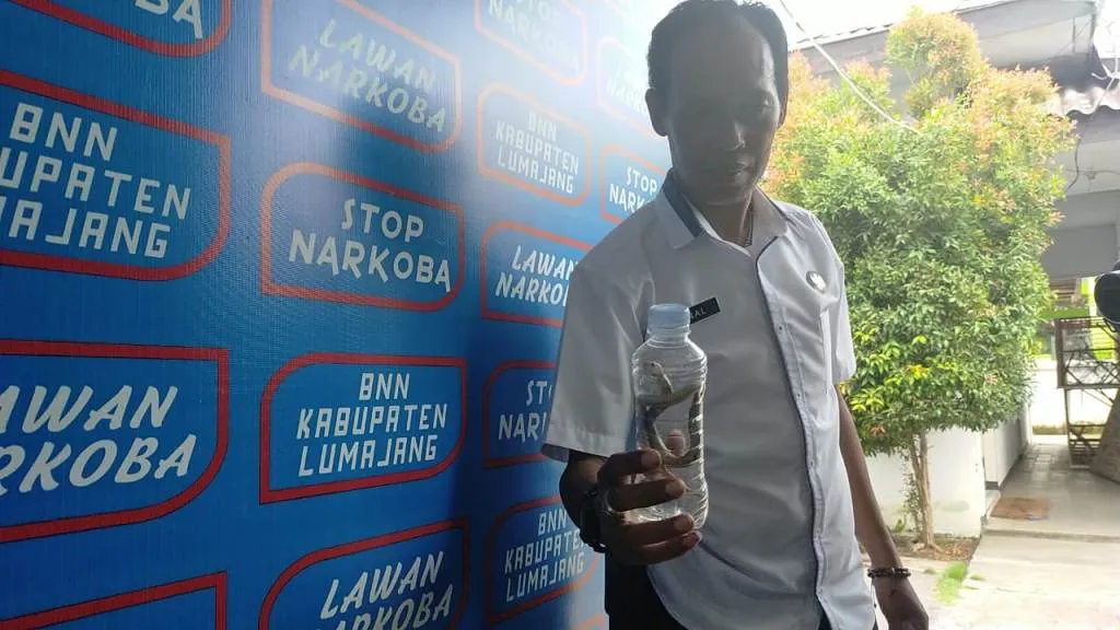 Kantor BNNK Lumajang Diteror Ular Cobra