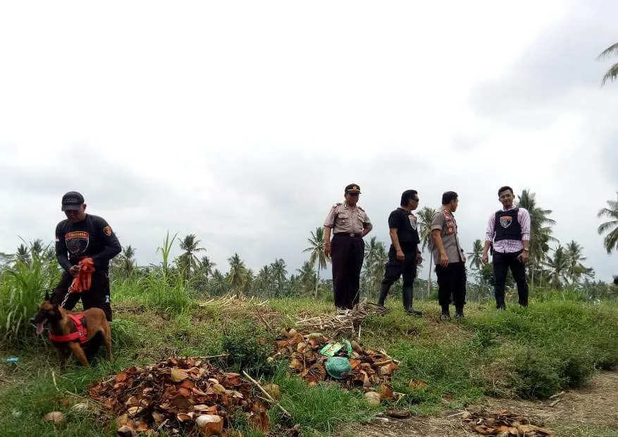 Tim Cobra Tangguh Lumajang Pakai Drone dan K-9 Buru Maling Sapi