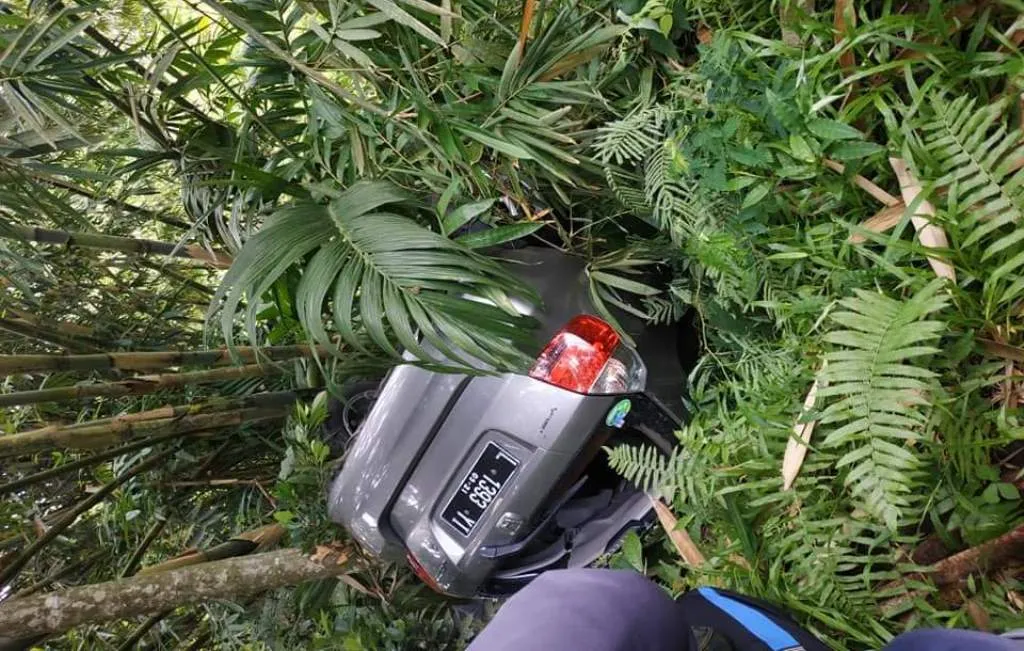 Honda Jazz Masuk Jurang di Piket Nol Desa Sumberwuluh Lumajang