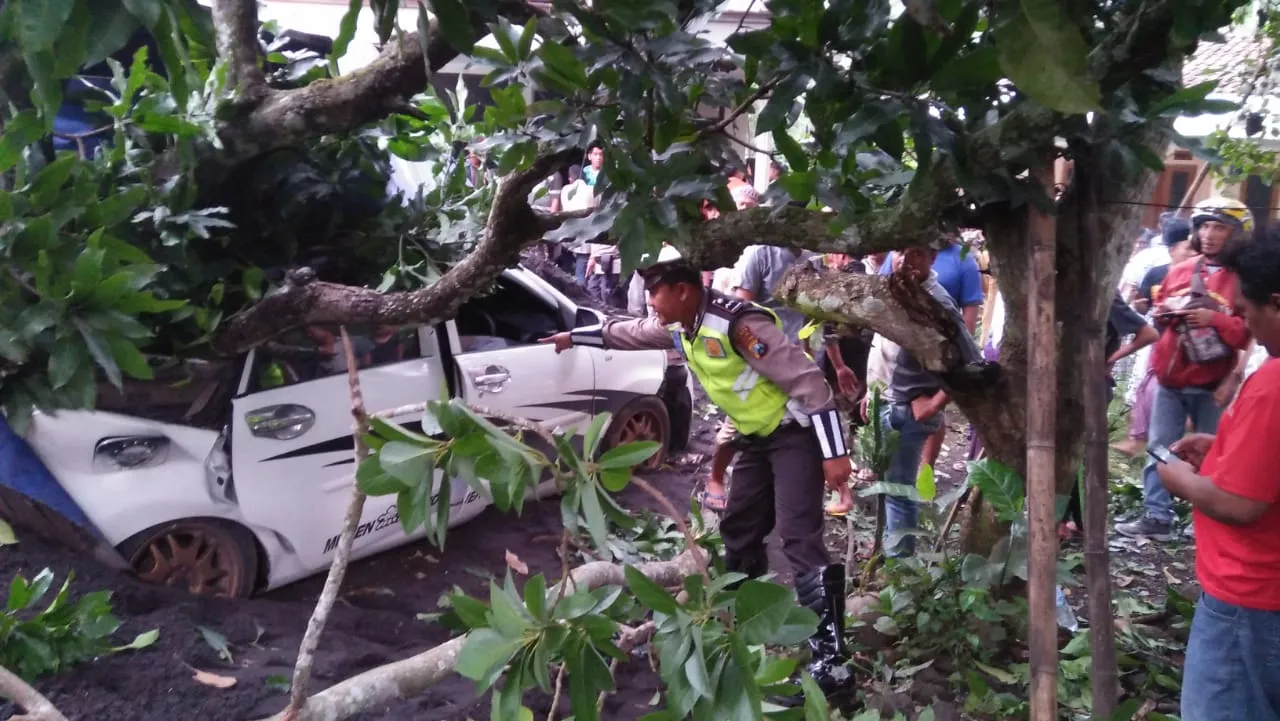 Bruak..! Tronton Angkut Pasir Seruduk Xenia di Ranuyoso Lumajang