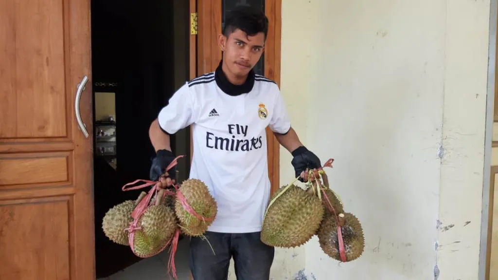 Durian Montong Semeru Lumajang Mulai Diburu