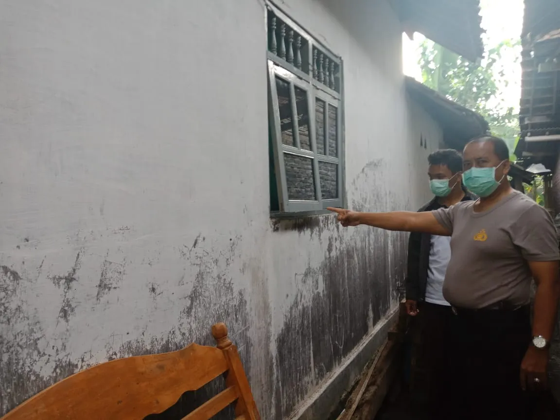 Pencuri Bunga Cengkeh di Tempursari Lumajang Diringkus Polisi