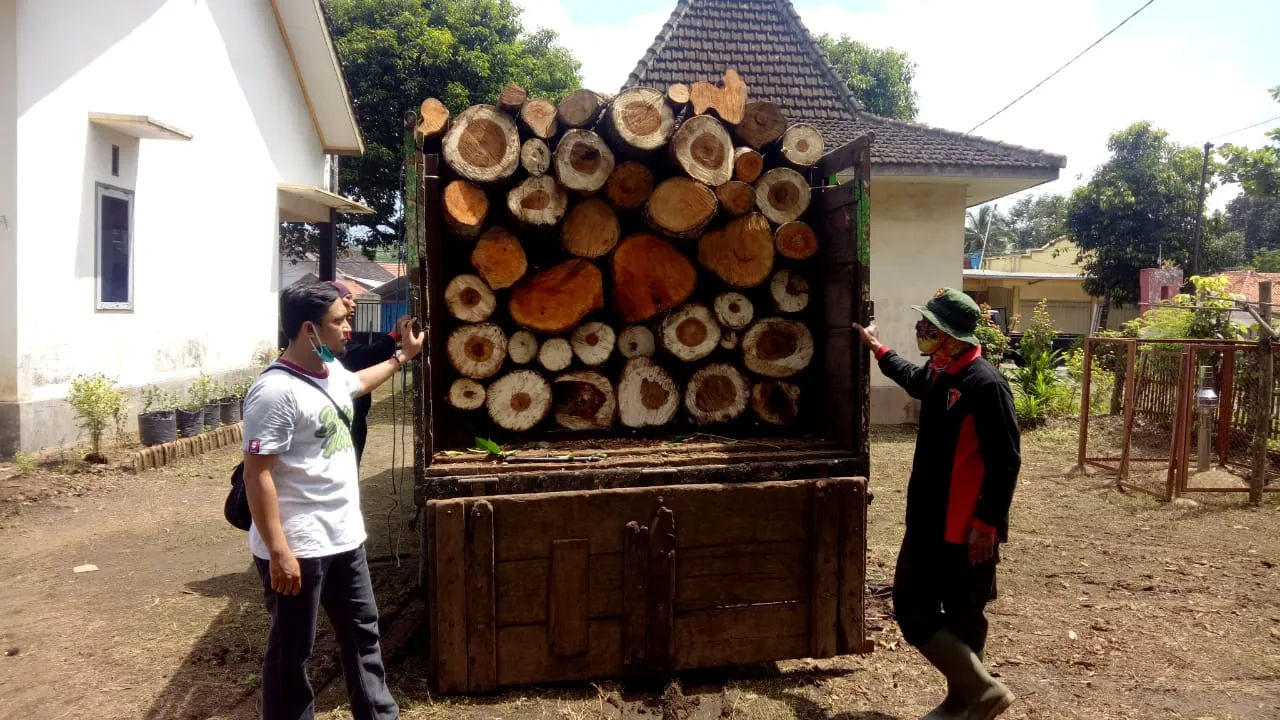 Polsek Ranuyoso Tangkap Pencuri Kayu Milik Perhutani Lumajang