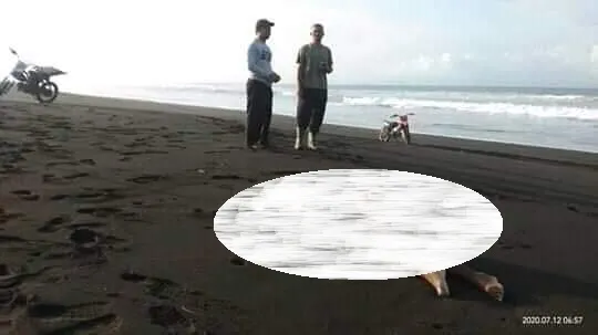 Heboh..! Ditemukan Mayat di Pantai Wotgalih Kecamatan Yosowilangun