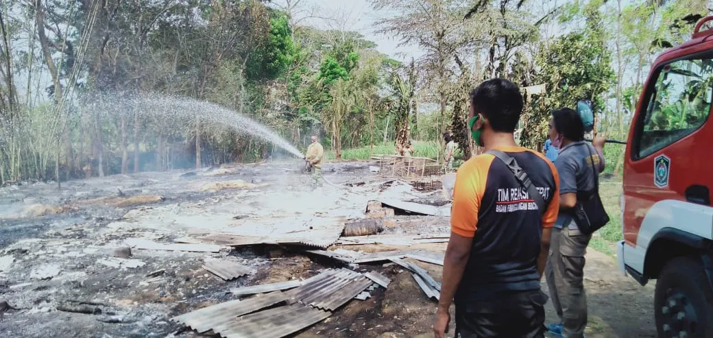 2 Kandang Ayam dan Lahan TebuMrutu di Kedungjajang Ludes Terbakar