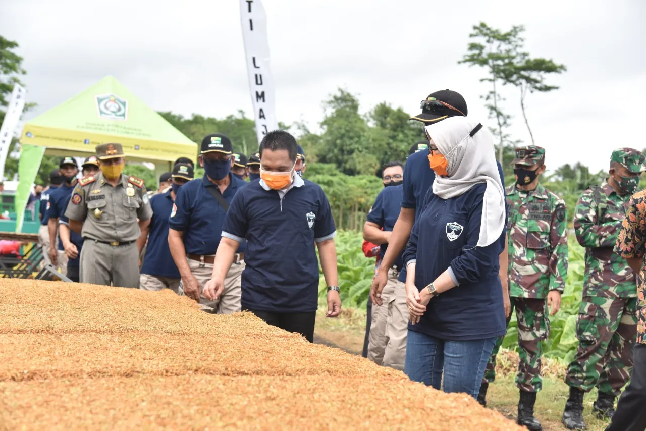 CT dan Bunda Indah Intruksi Petani Tembakau Lumajang Bermitra