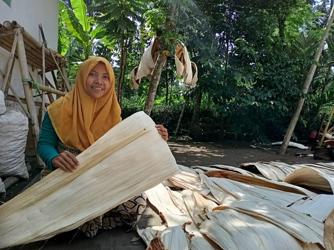Wow..! Warga Klakah Lumajang Raup Untung Jutaan dari Pelepah Pinang
