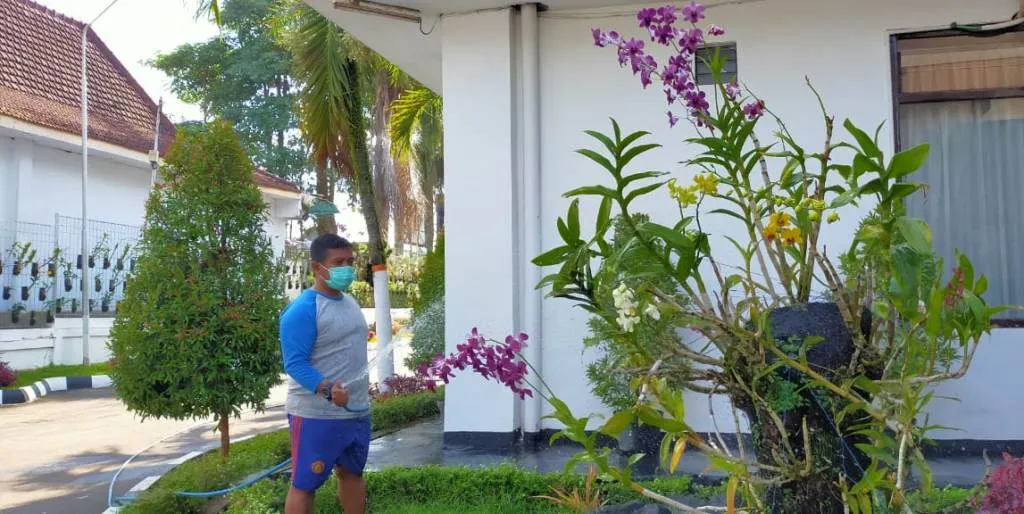 Warna Warni Bunga Anggrek Hiasi Halaman DPRD Lumajang