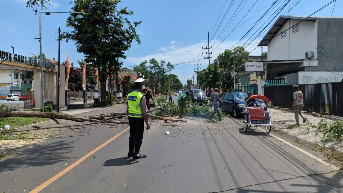 Satlantas Polres Lumajang Beri Pengamanan Pemotongan Pohon di Jalan
