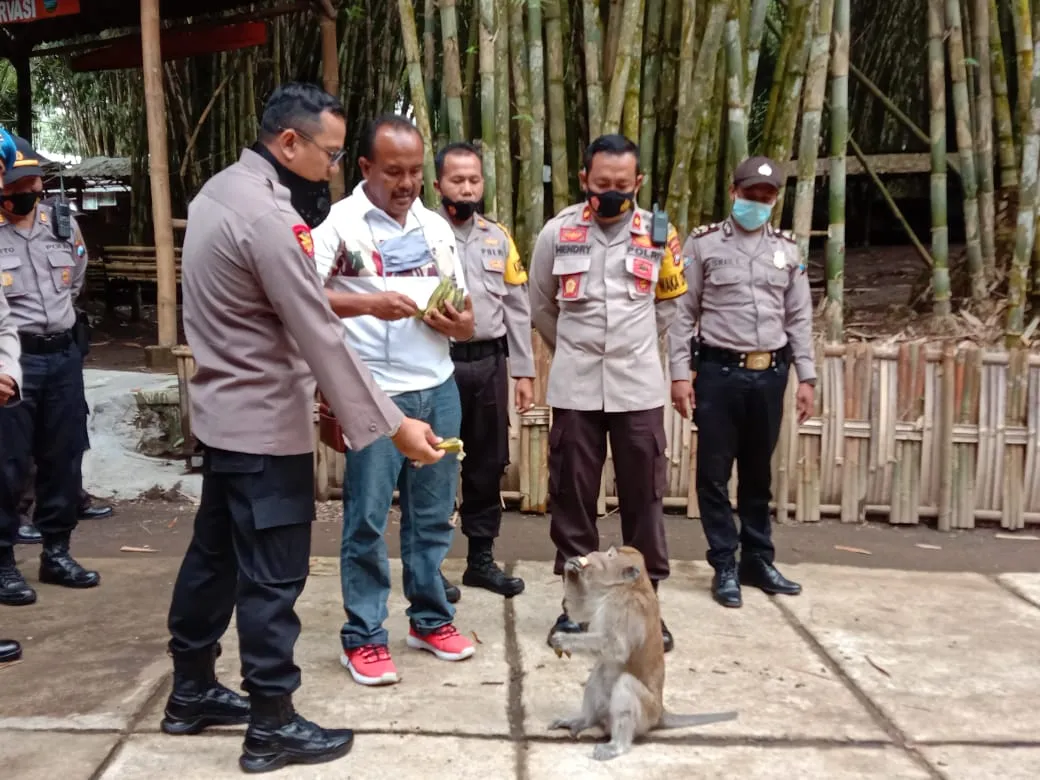 Kapolres Lumajang Kagumi Wisata Hutan Bambu Candipuro