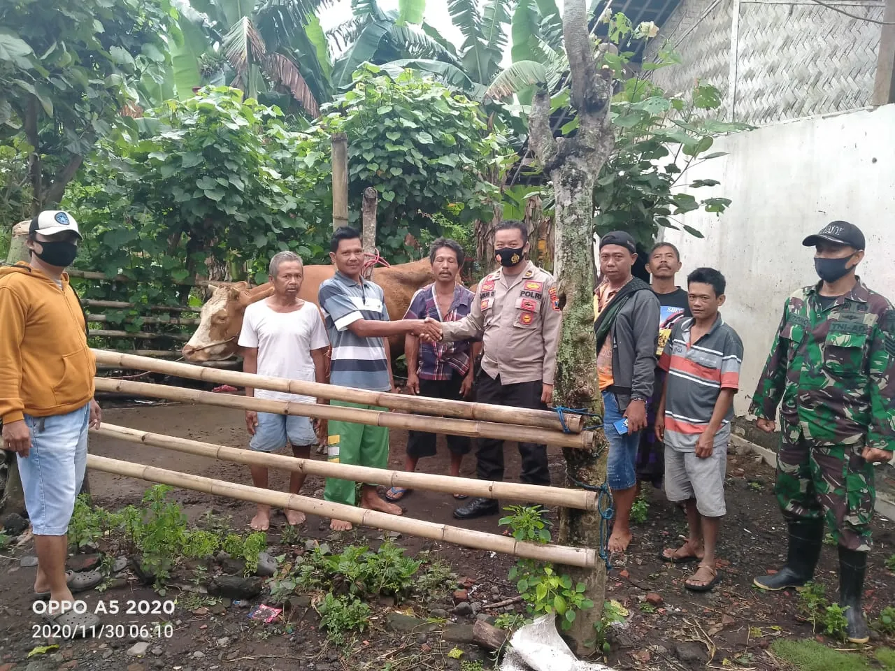 Warga Desa Kalibendo dan Polsek Pasirian Gagalkan Pencurian Sapi