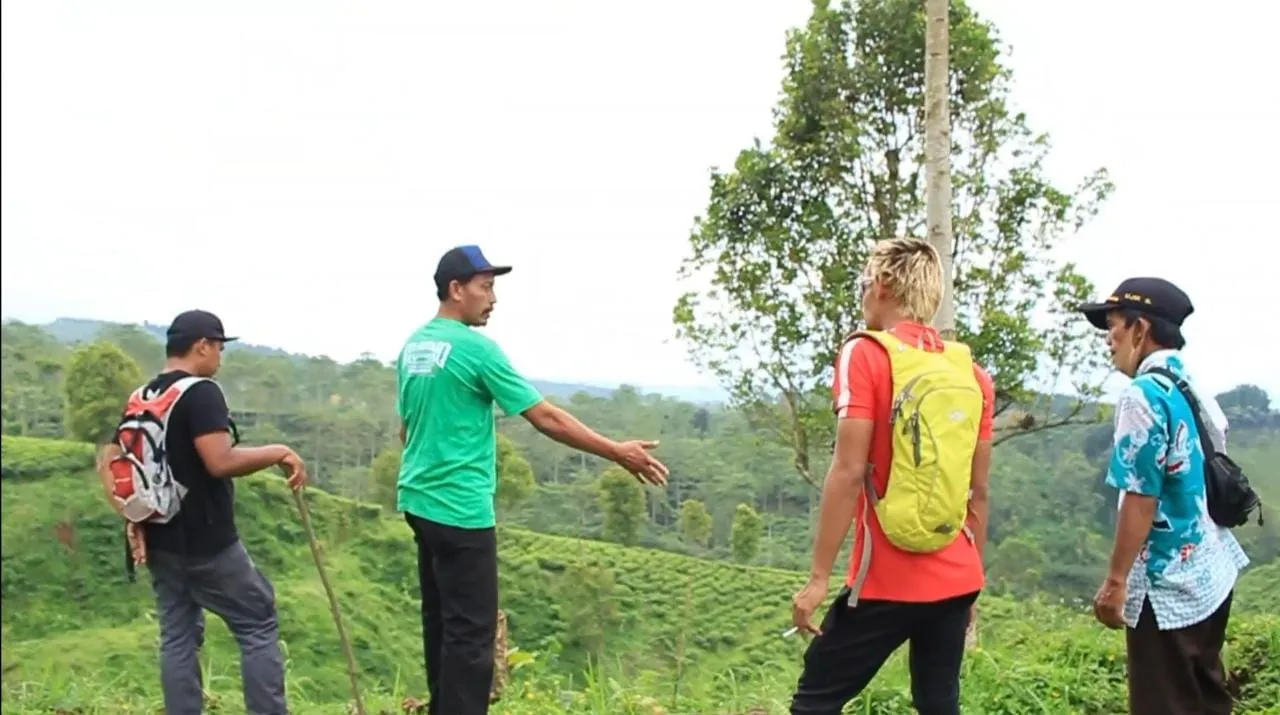 Kebun Teh Gucialit Jadi Pilihan Veneu Balap Sepeda Gunung Lumajang