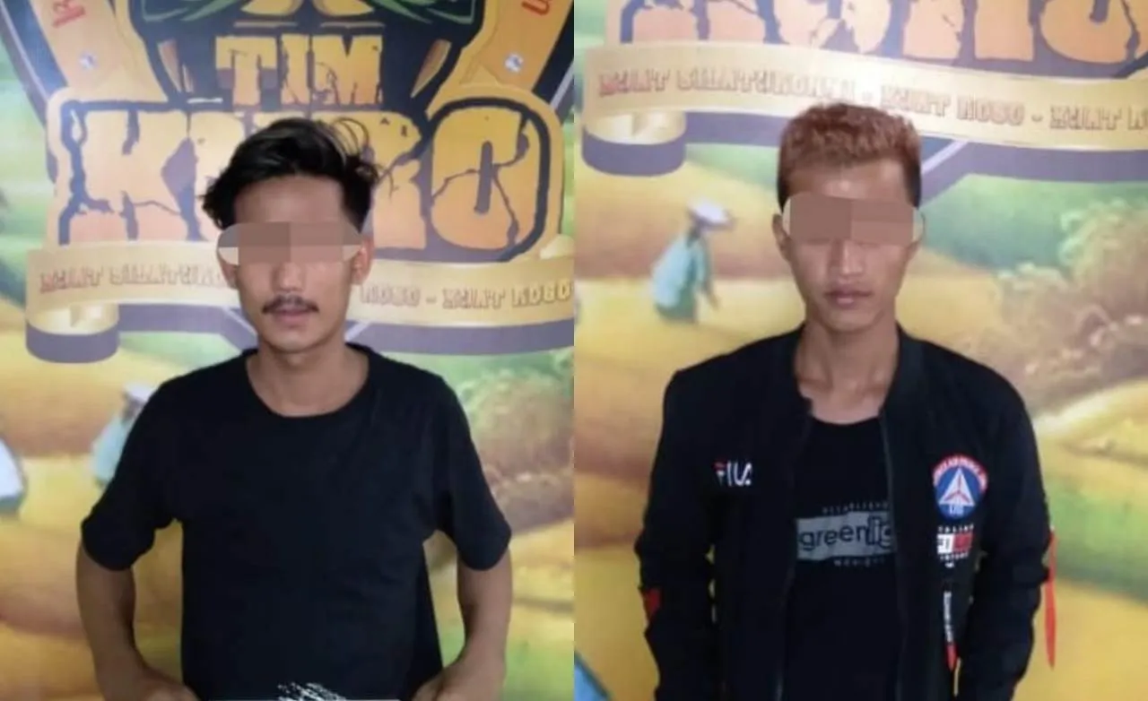 2 Pemuda Jatiroto dan Tunjung Lumajang Jual Pil Koplo di Rumah Sewa